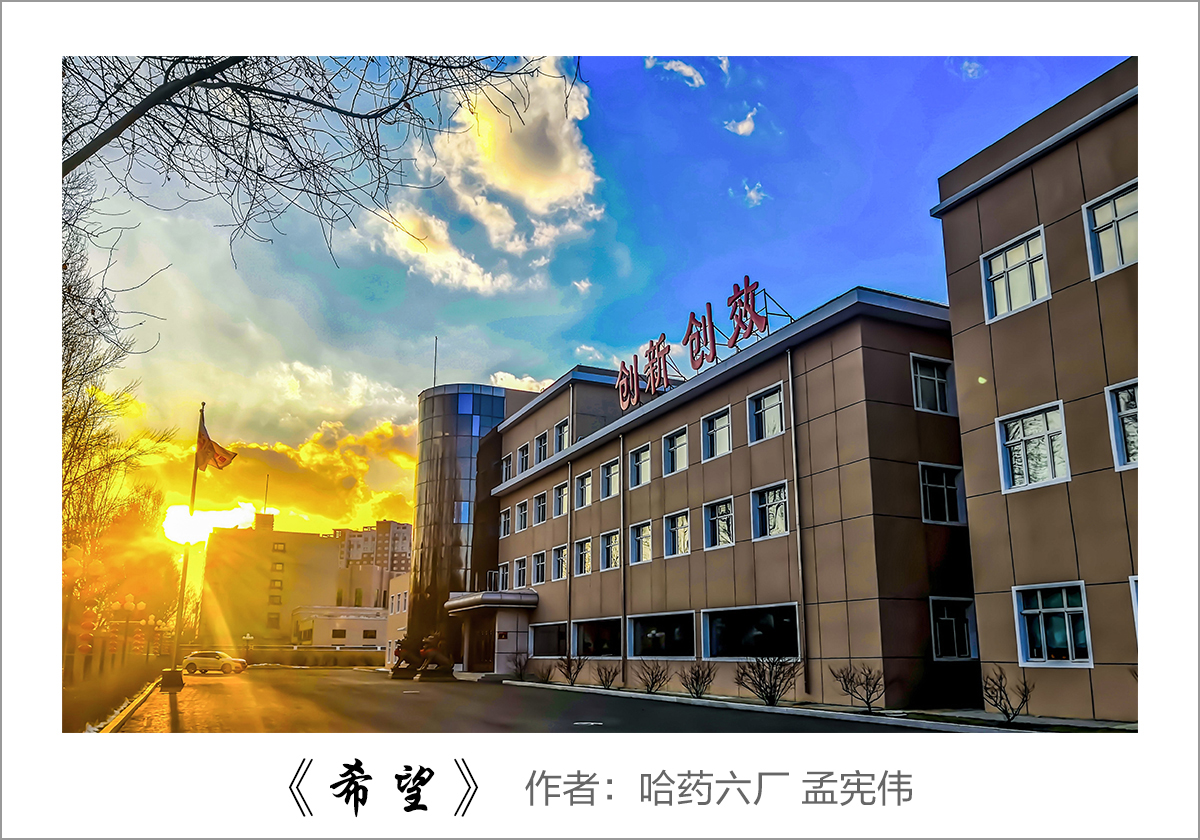 【迎国庆 展风采】我眼中的彩乐园——职工摄影大赛作品展示！