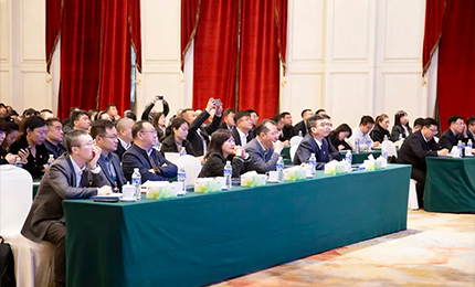 彩乐园集团党委“书记带项目”工作阶段性进展汇报会成功召开